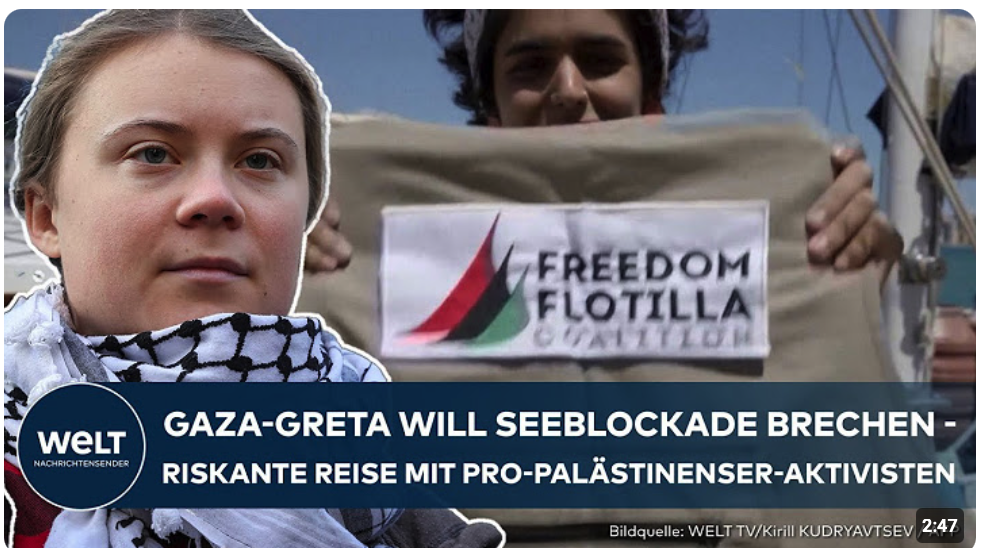 GRETA GEHT AUFS GANZE: Ex-Klimaaktivistin will israelische Seeblockade vor Gaza durchbrechen
