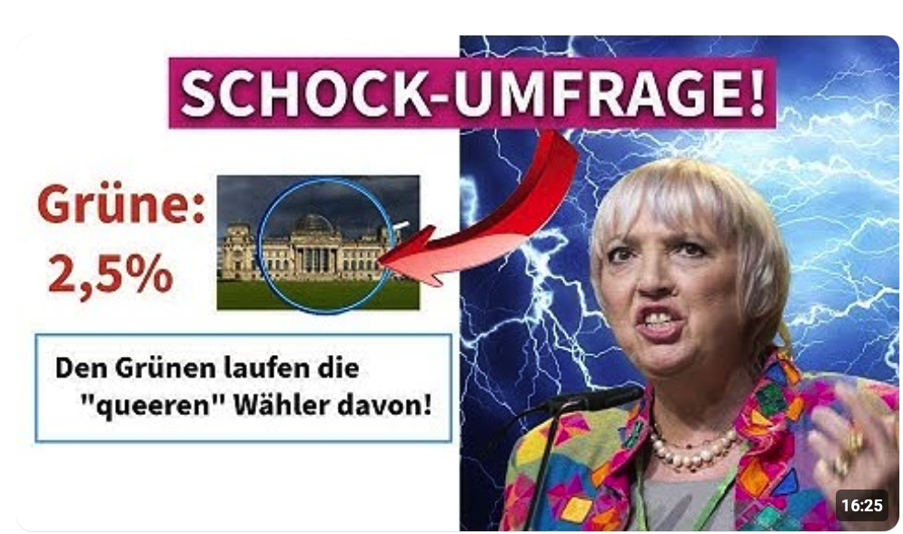 Bundestag: SO wählen schwule Männer! | SCHOCK für Grüne + SPD!