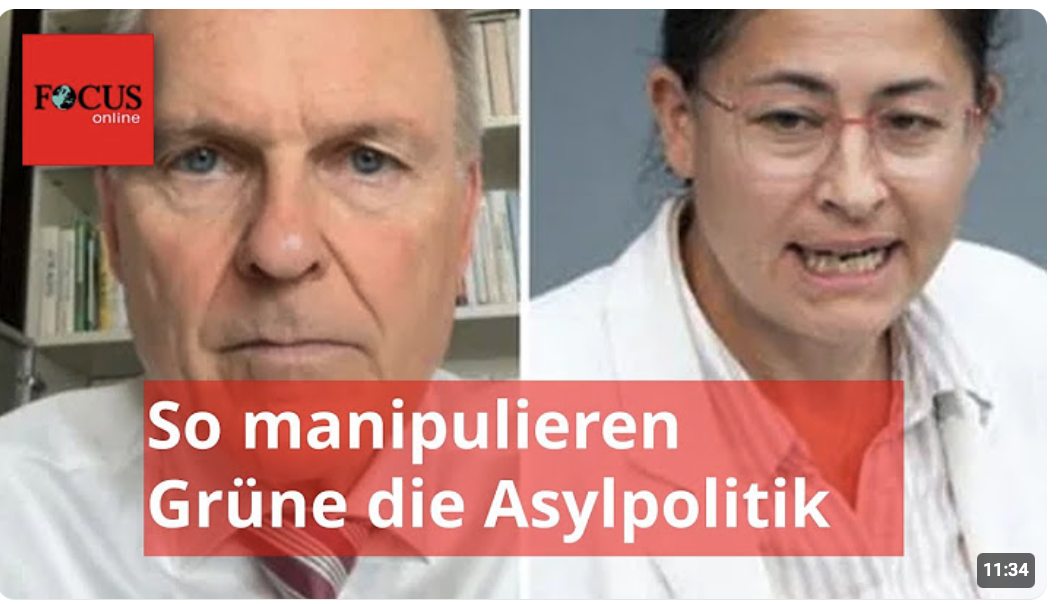 „Zivilgesellschaft“ gegen Asylwende: Hier ertappen wir die Grünen bei einer Lüge