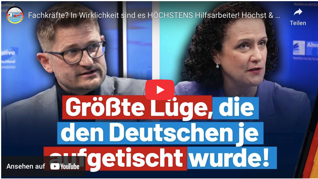 Fachkräfte? In Wirklichkeit sind es HÖCHSTENS Hilfsarbeiter! 