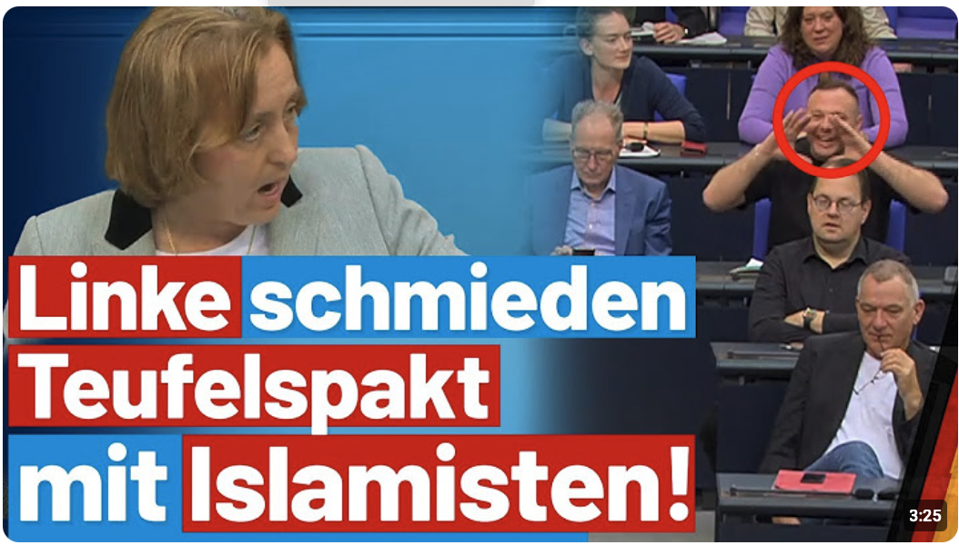 Beatrix von Storch spricht die Nähe zum Islamismus der Linken an! 