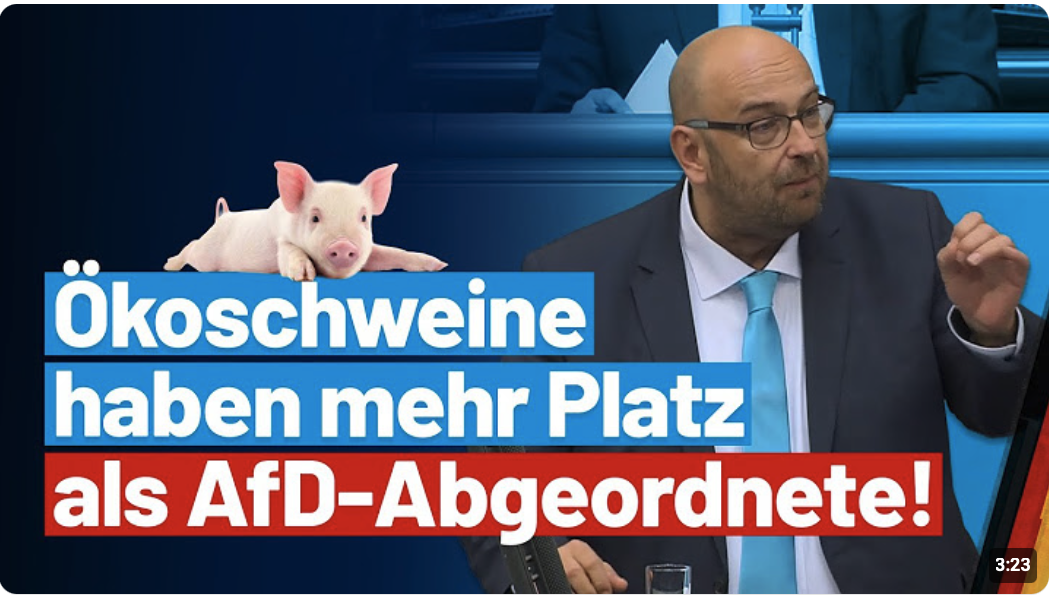 Ein deutsches Ökoschwein hat gesetzlich mehr Platz! 