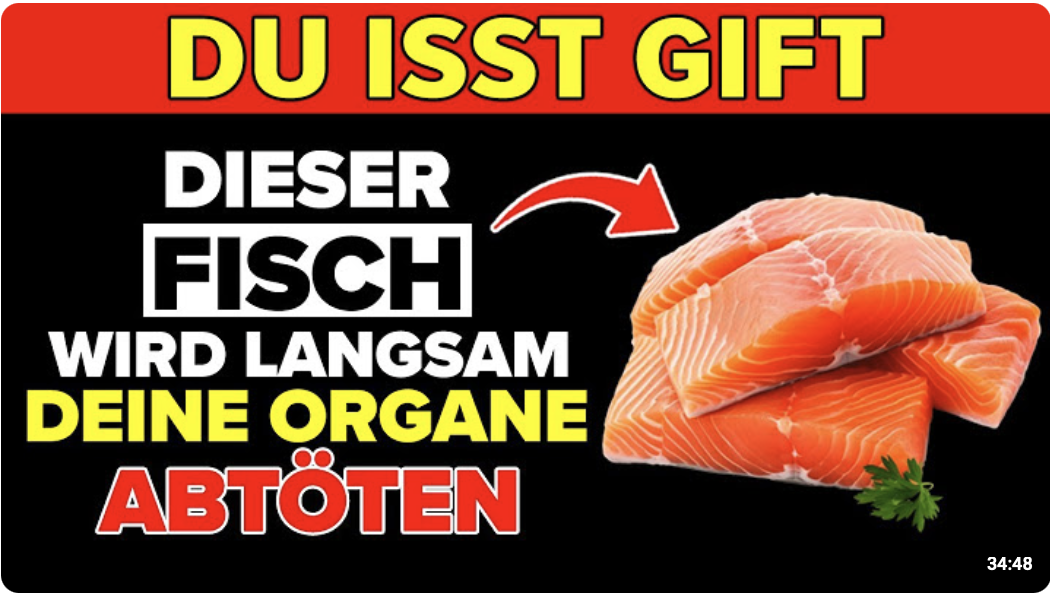 4 Fischsorten, die Sie UNBEDINGT essen sollten – und 4, die Sie besser NIE anfassen