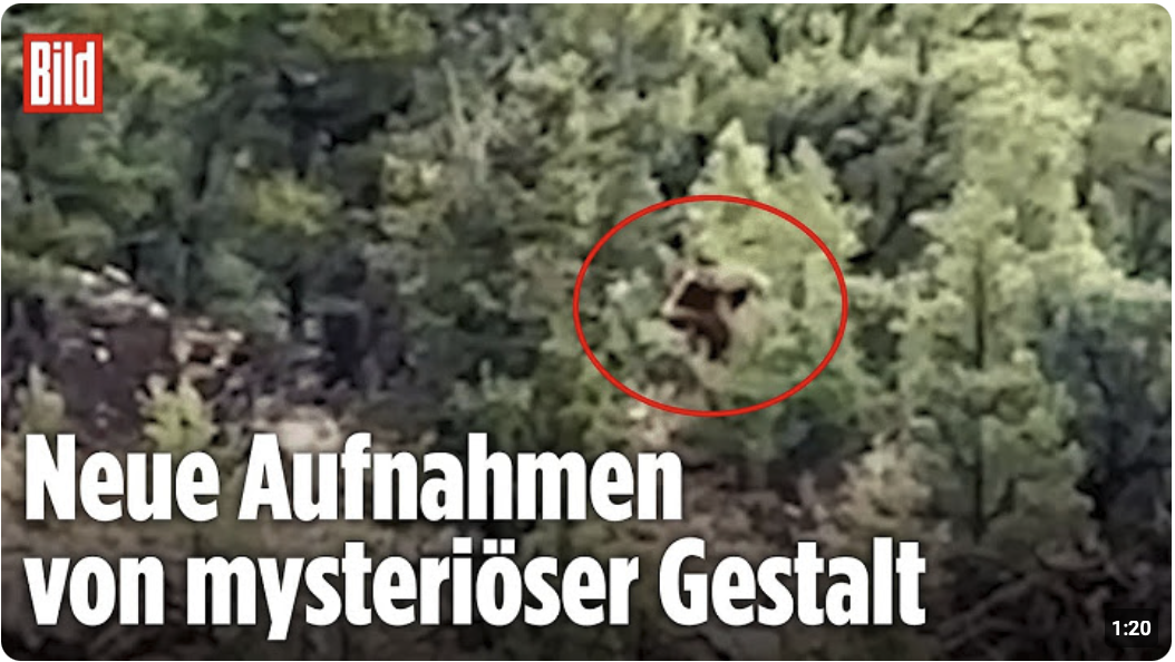 Colorado, USA: Ist DAS wirklich Bigfoot?