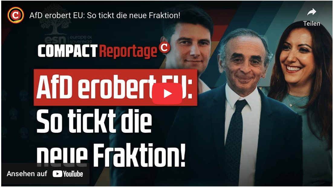AfD erobert EU: So tickt die neue Fraktion!