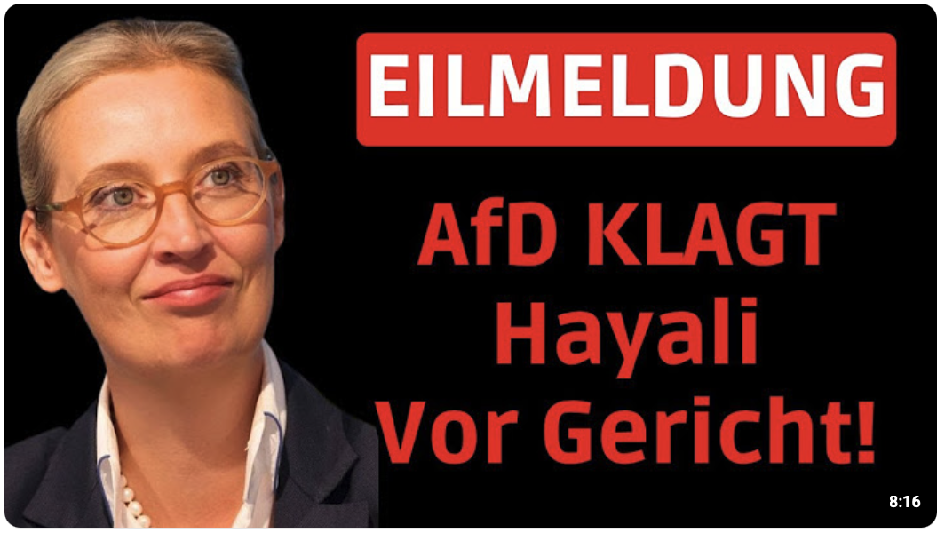 AfD vor Gericht! VERKLAGT Hayali Wegen BELEIDIGUNG!