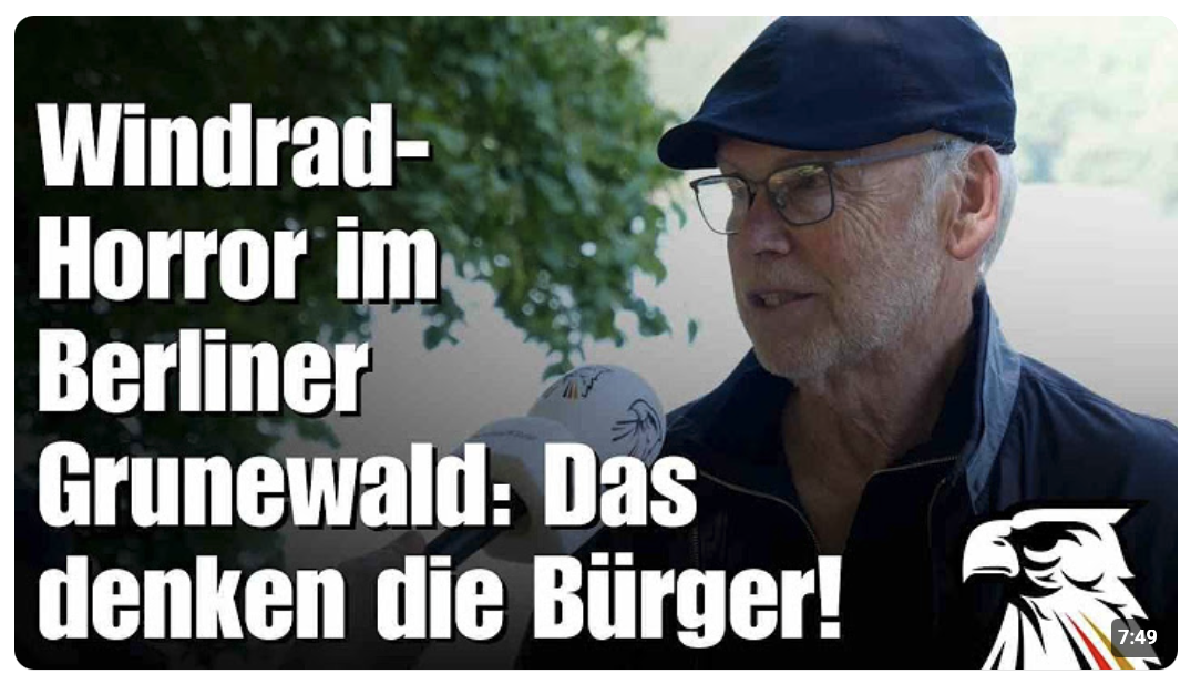 Windrad-Horror im Berliner Grunewald: Das denken die Bürger!