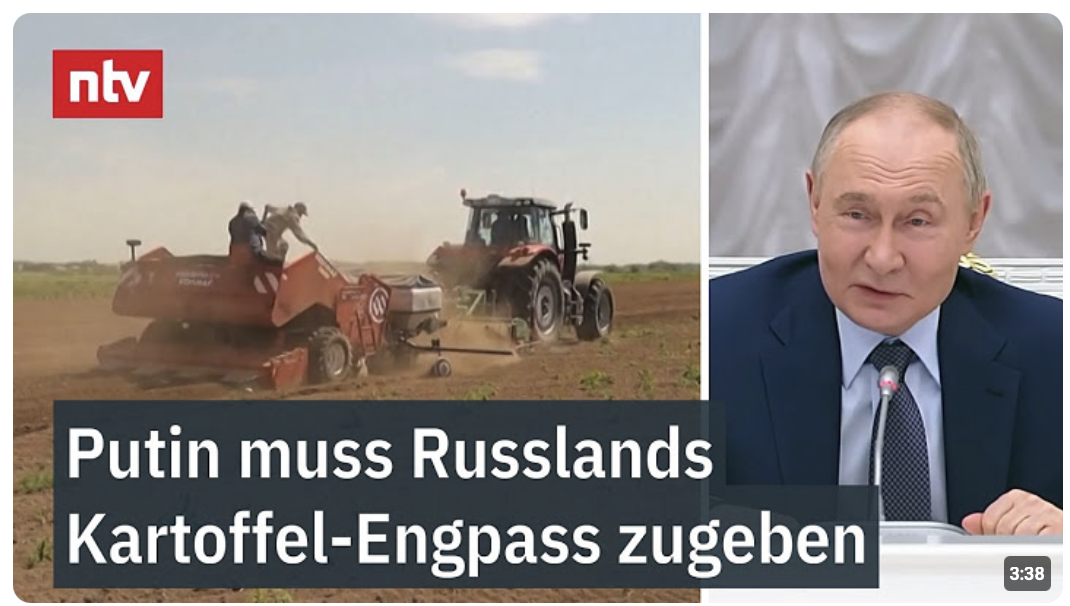 Putin muss Russlands Kartoffel-Engpass zugeben – Sanktionen lassen Preise explodieren