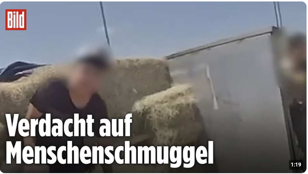 Texas, USA: Polizei entdeckt illegale Einwanderer im Heu
