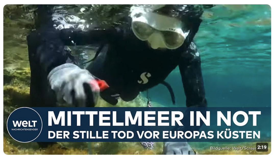 GRIECHENLAND: Kampf unter Wasser – Wie Forscher das Mittelmeer retten wollen