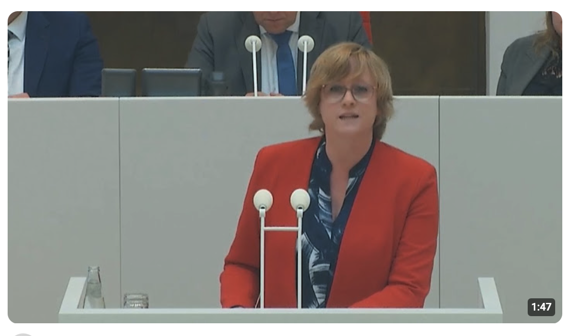 SPD-Frau will AfD-Abgeordnete verleumden und zerstört sich selbst