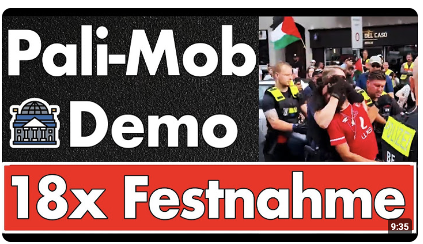 ‚Pro Gaza‘-Demo eskaliert: Vorwürfe antisemitischer Ausschreitungen, Polizei greift kaum ein!