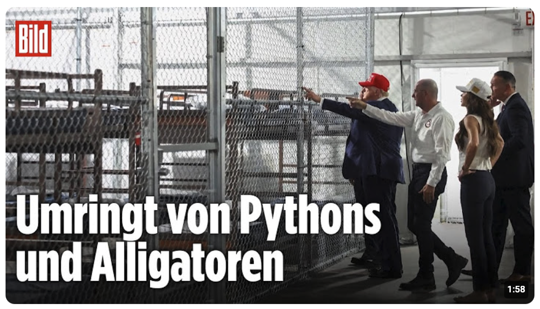 Trump eröffnet Abschiebeknast „Alligator Alcatraz“