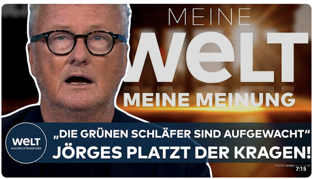 DEUTSCHLAND: „Das ist eine Riesen-Schweinerei!“ – Hans-Ulrich Jörges I MEINE WELT – MEINE MEINUNG