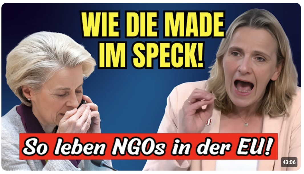 Skandal-Liste: FPÖ zeigt, wofür EU unser Geld rauswirft! 