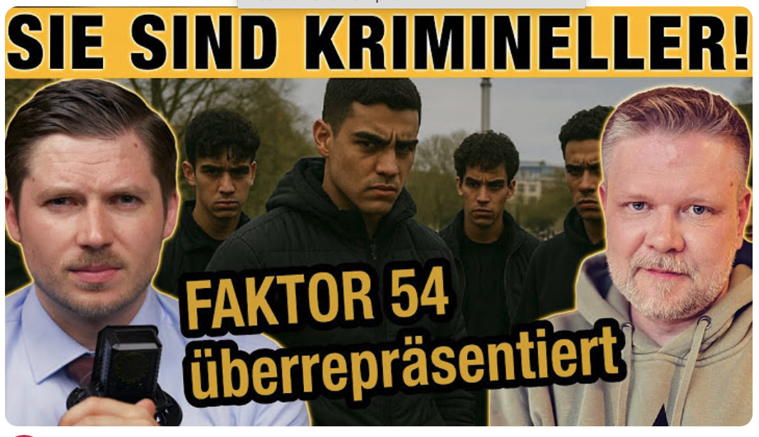 Ausländer 54 mal krimineller als Deutsche! Poledance vor Kindern & halal ist normal! DMR