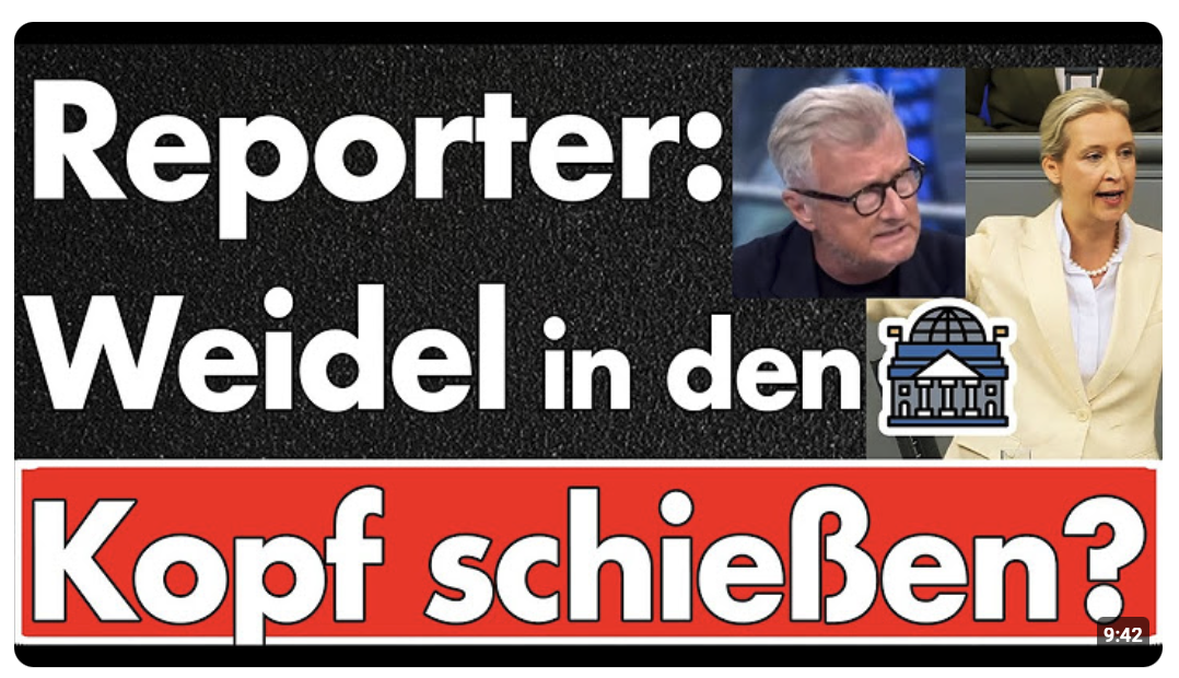 AfD-Verbot wegen Rede von Weidel? Kopfschuss? Reporter völlig am Ende & die SPD ignoriert das GG!