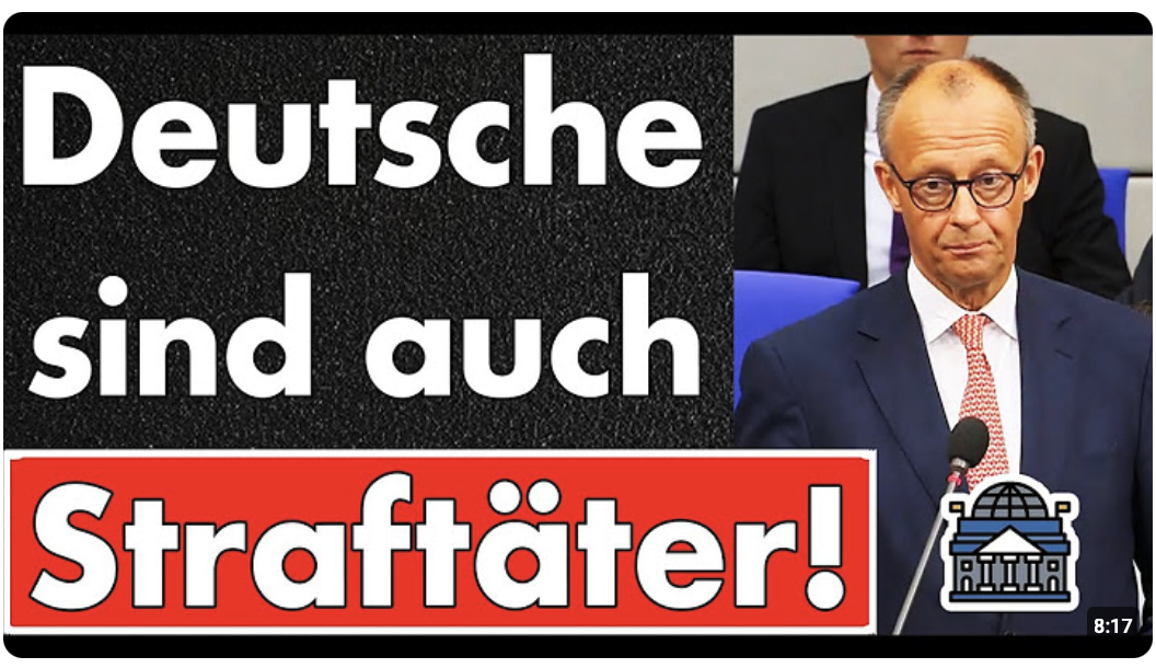 Merz erklärt Deutsche Straftäter zum Kriminalitätsproblem! Die Fakten geben das nicht her!