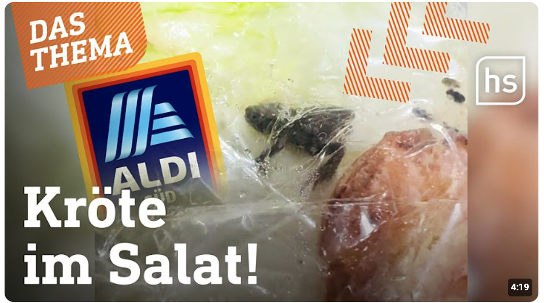 Im Aldi-Salat findet 23-Jähriger eine Kröte – und reanimiert sie 