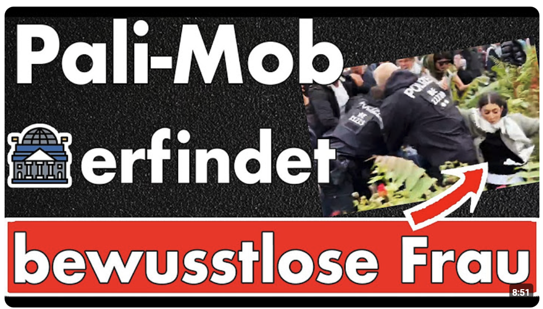Bewusstlose Frau nach Polizeieinsatz auf Demo? – So arbeitet die Pali-Mob-Propaganda!