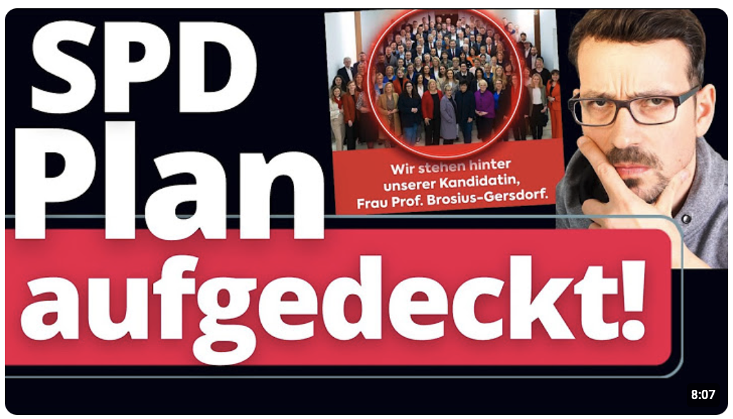 Eilmeldung: So will die SPD die AfD beseitigen!