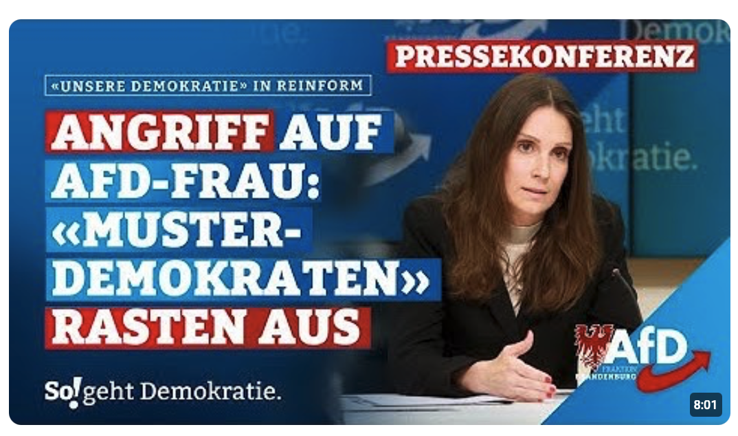  ANGRIFF AUF AfD-FRAU: MUSTER-DEMOKRATEN RASTEN VÖLLIG AUS