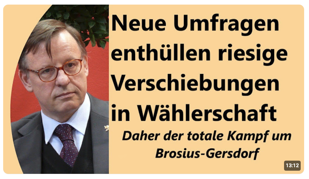 Kampf der Verlierer: CDU/CSU, SPD ringen um Existenz – AfD im Hype