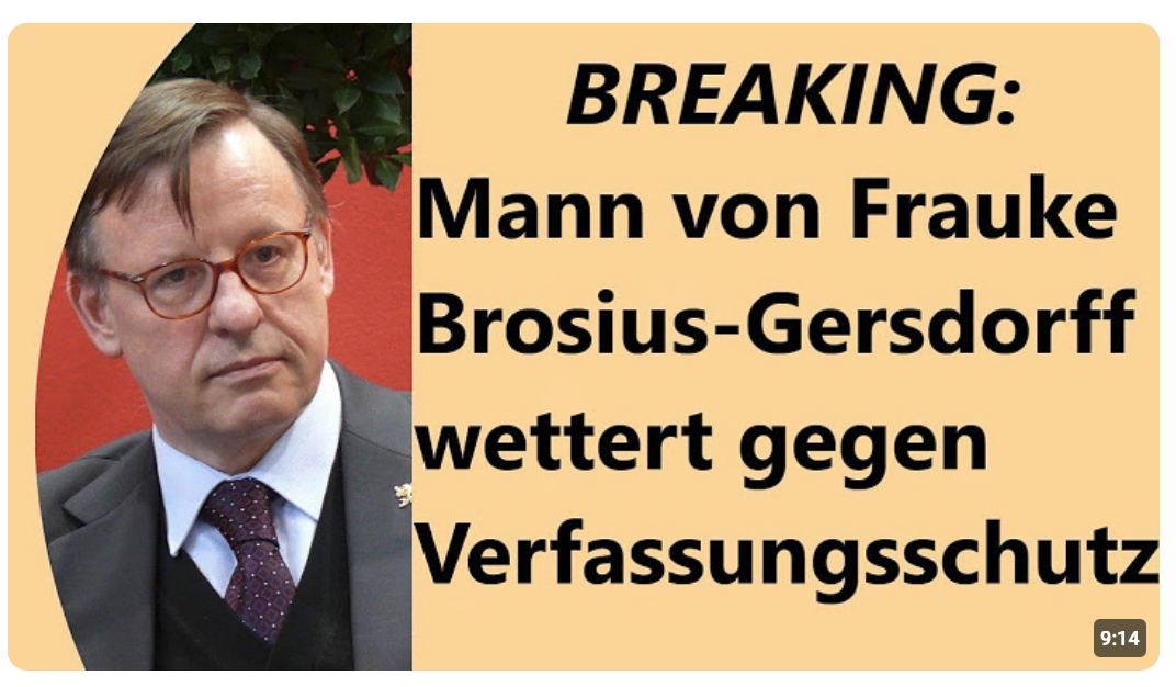 Einwände gegen AfD verfassungsrechtlich blanker Unfug/Interview Junge Freiheit mit Hubertus Gersdorf