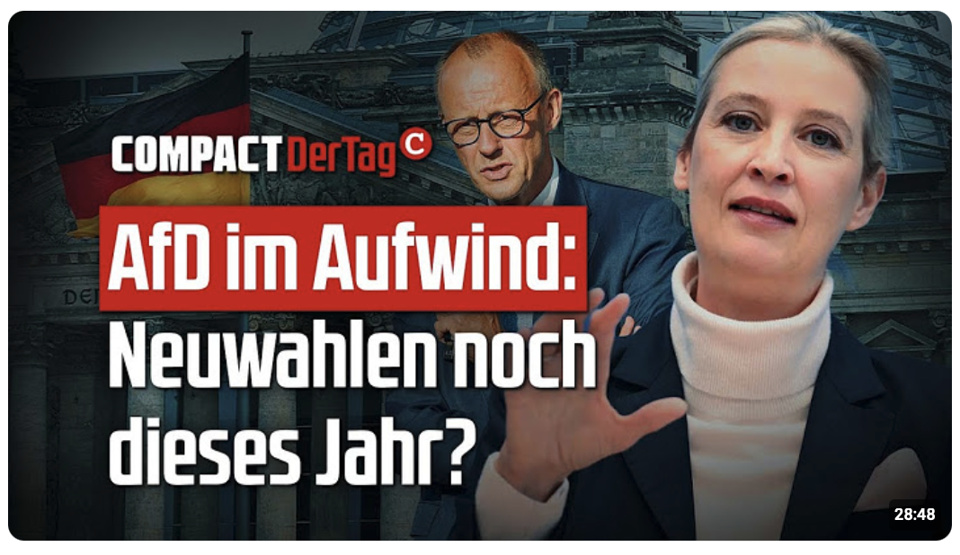AfD im Aufwind: Neuwahlen noch dieses Jahr?