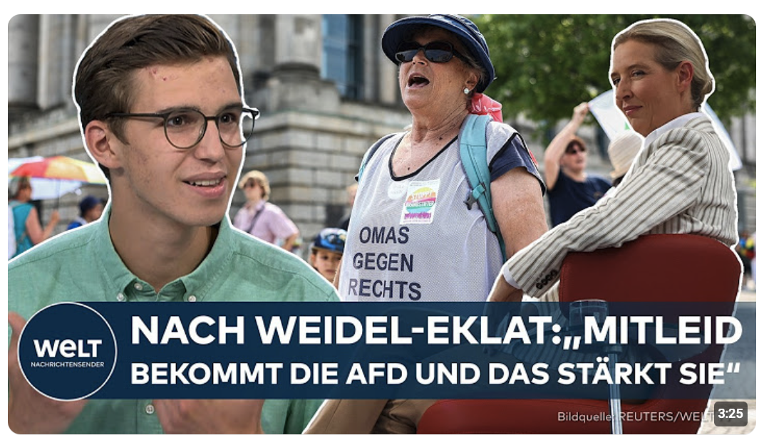 WEIDEL-EKLAT: „Geschrei gegen AfD bringt nichts“ – Stärken derartige Proteste die Partei?