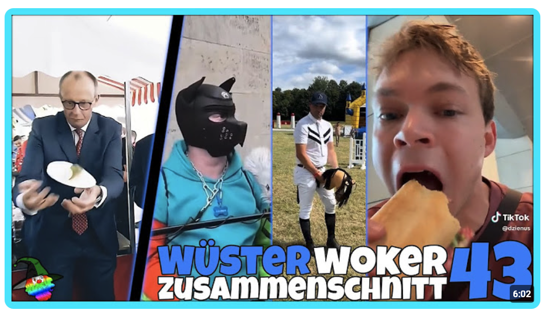 Wüster woker Meme-Zusammenschnitt #43