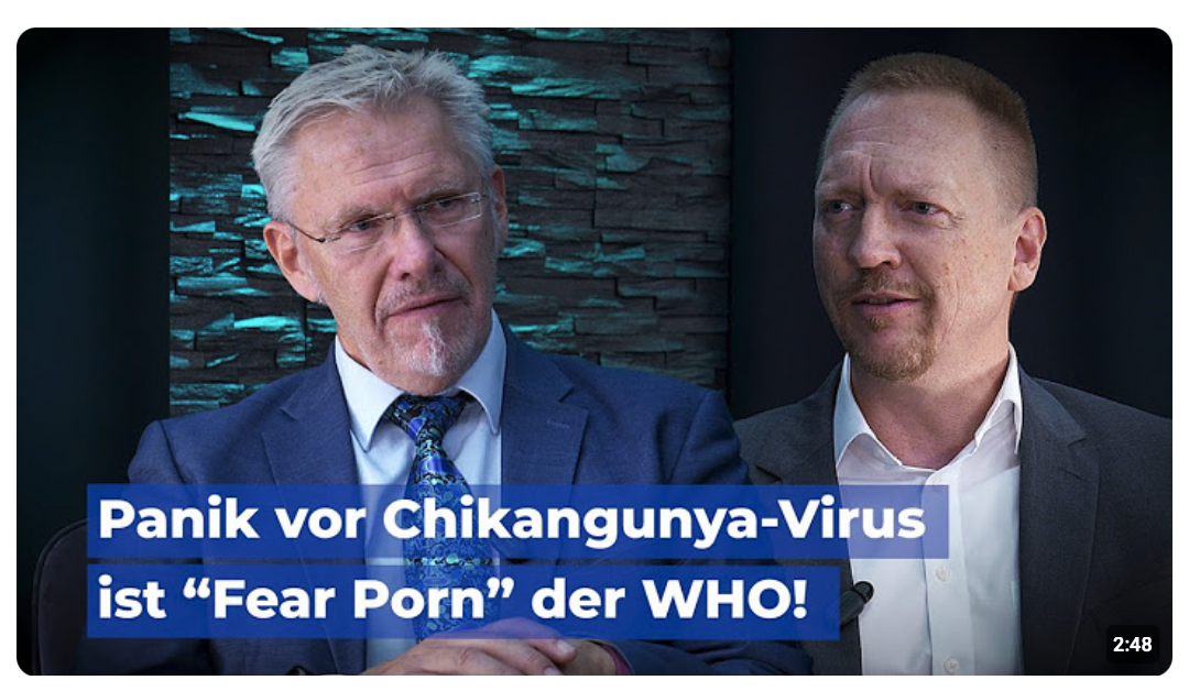 Prof. Haditsch im Gespräch: Panik vor Chikangunya-Virus ist “Fear Porn” der WHO