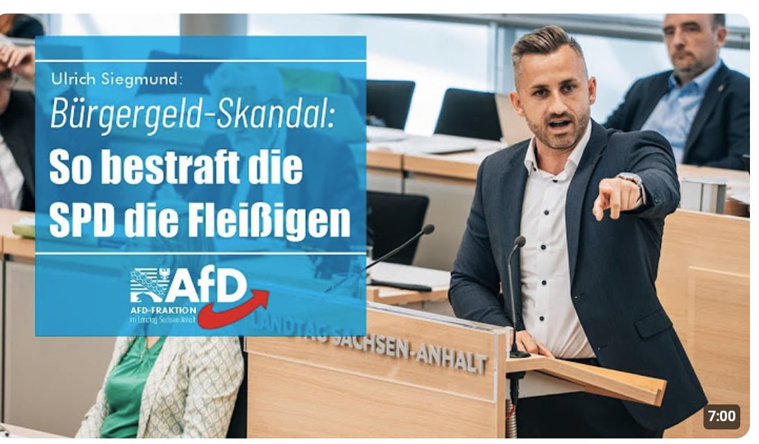 Bürgergeld-Skandal: So bestraft die SPD die Fleißigen