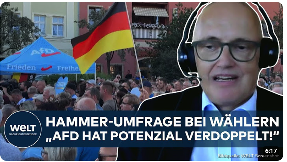 DEUTSCHLAND: Rekord-Umfrage für AfD! Experte mit harter Analyse zum Höhenflug