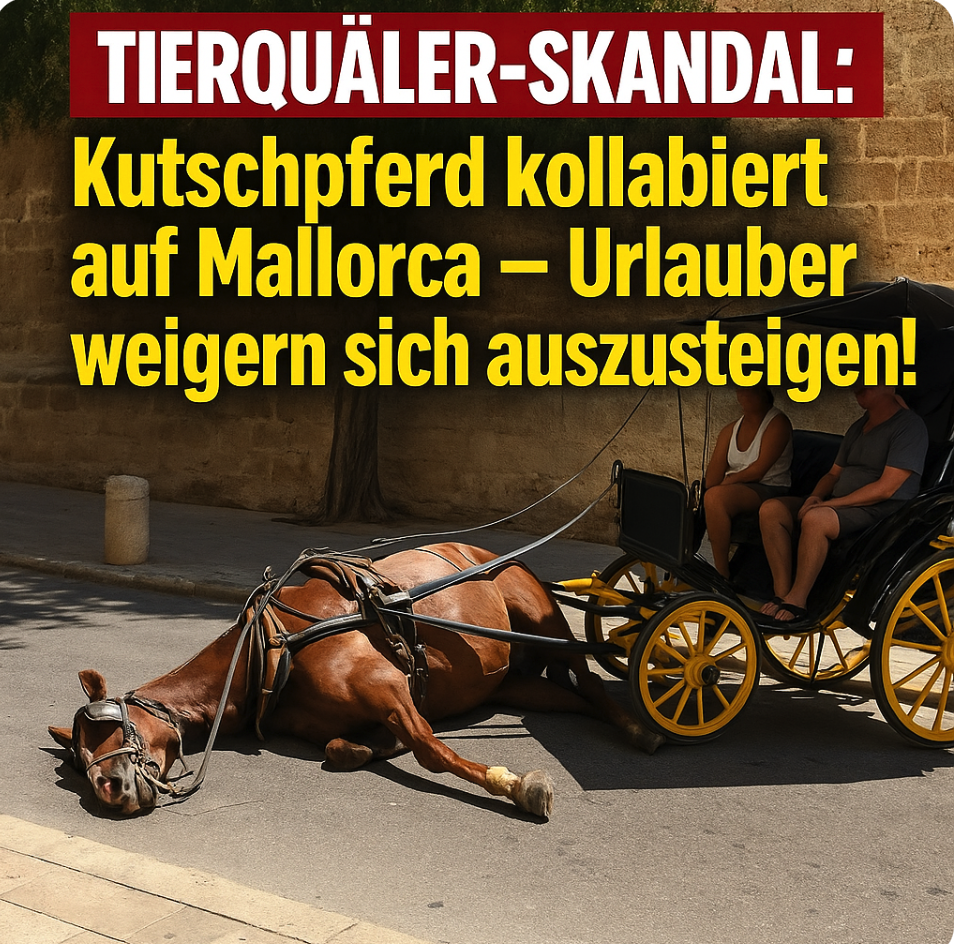 TIERQUÄLER-SKANDAL: Kutschpferd kollabiert auf Mallorca – Urlauber weigern sich auszusteigen!