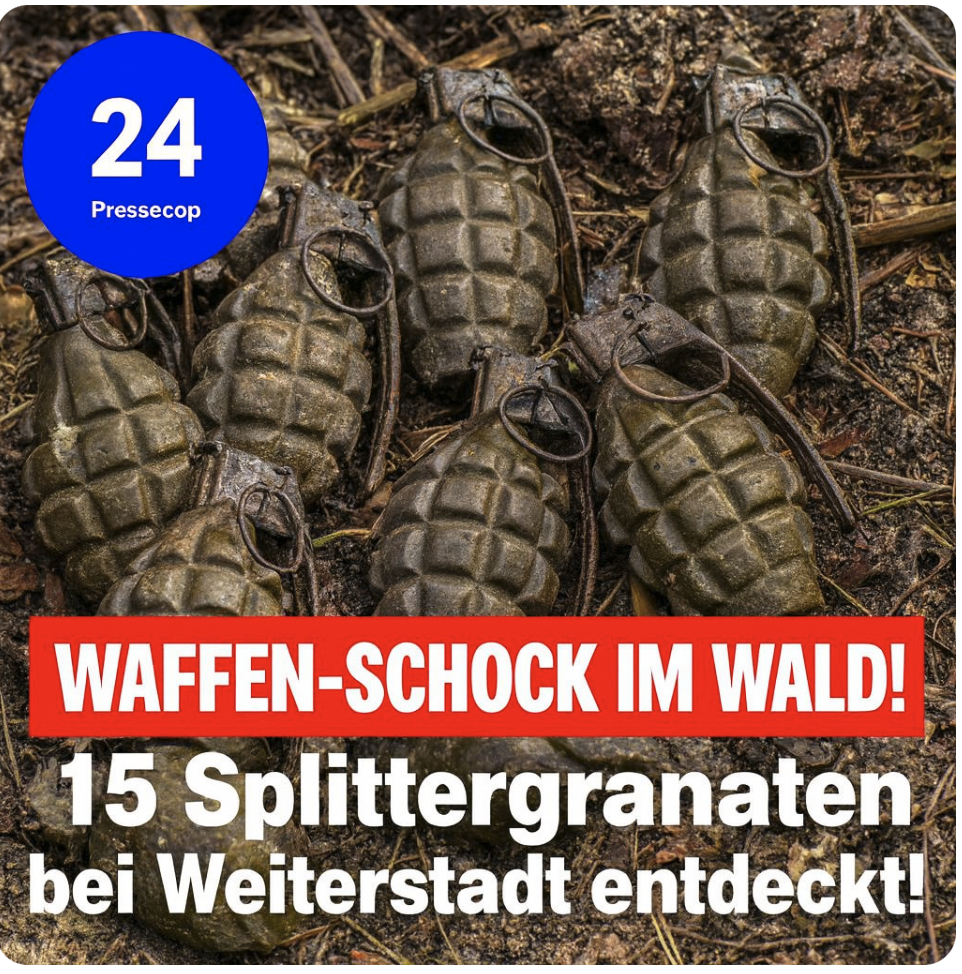 Waffen-Schock im Wald! 15 Splittergranaten bei Weiterstadt entdeckt!