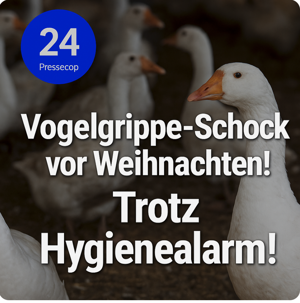 Vogelgrippe-Schock vor Weihnachten! Trotz Hygienealarm – Gänsepreise explodieren wegen Tierseuche!