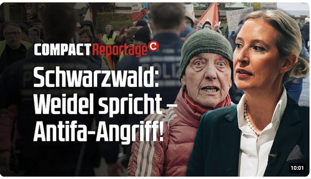 Weidel spricht, Antifa greift an! AfD vor Landtagswahl!