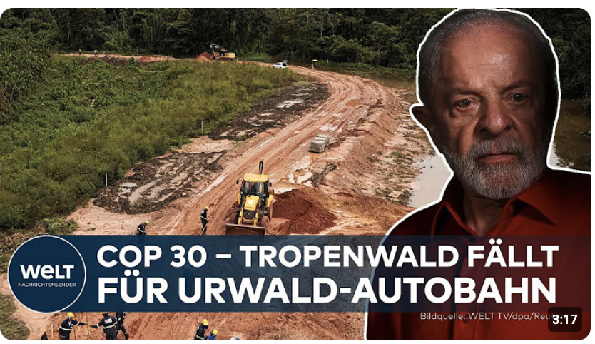 KLIMAGIPFEL COP 30: Stelldichein für Lobbyisten und Politiker ‒ Sind diese Mega-Treffen sinnvoll?