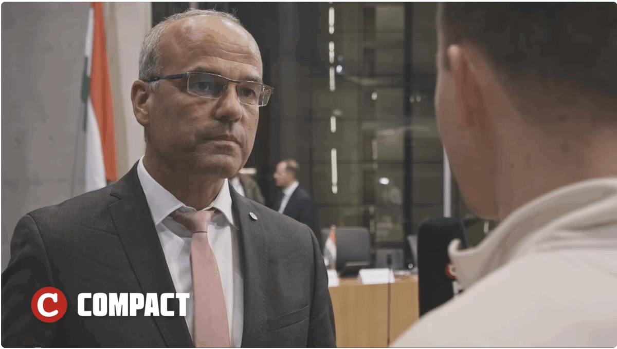 Russland-Reise: Warum gibt es AfD-Streit?!