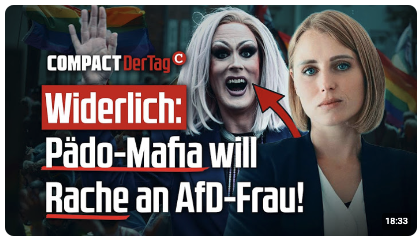 Widerlich: Pädo-Mafia will Rache an AfD-Frau!