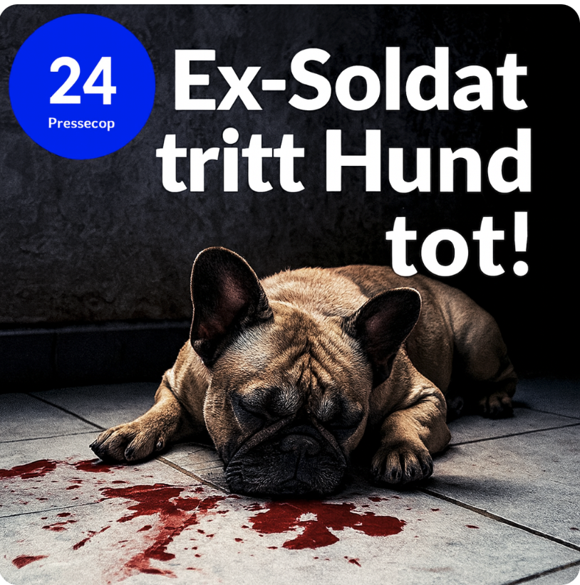 Skandal: Todesangst auf vier Pfoten!