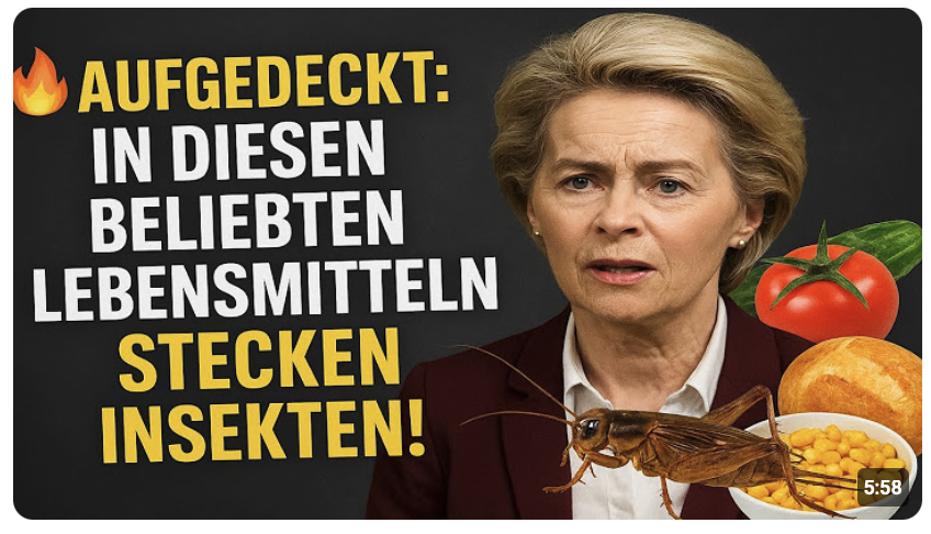  Aldi, Lidl, Rewe & Co.: Aufgedeckt – In diesen Lebensmitteln sind Insekten!