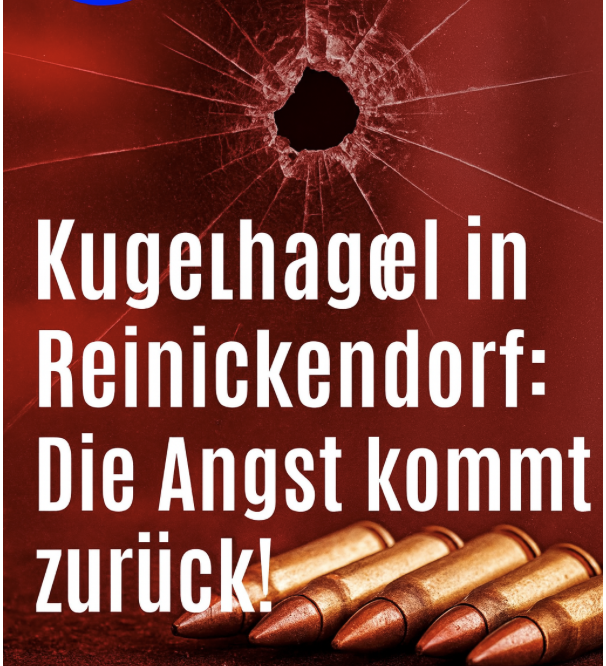 Kugelhagel in Reinickendorf: Die Angst kommt zurück!