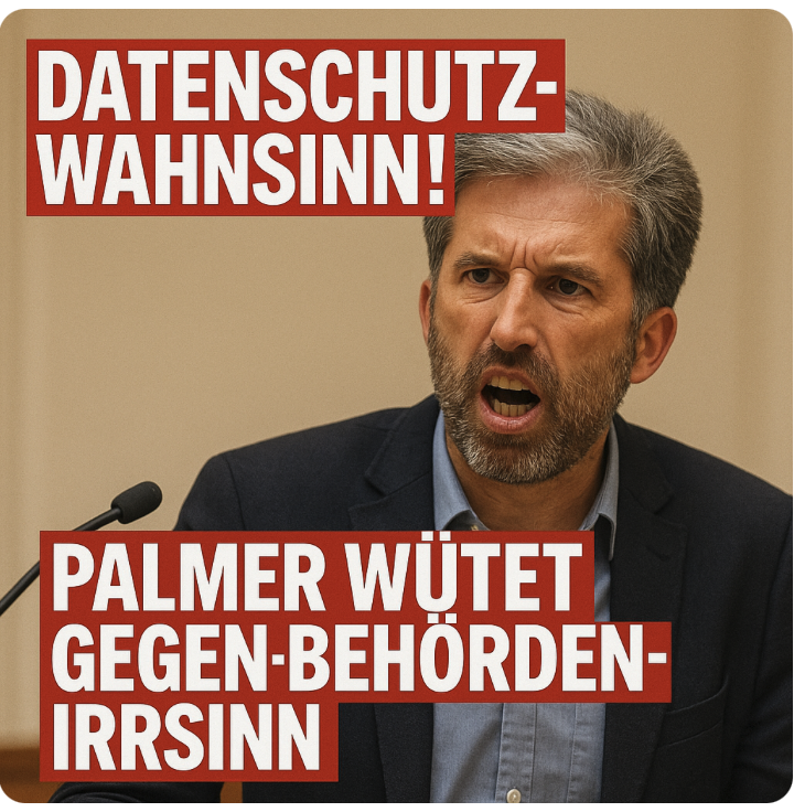 Datenschutz-Wahnsinn! Palmer wütet gegen Behörden-Irrsinn