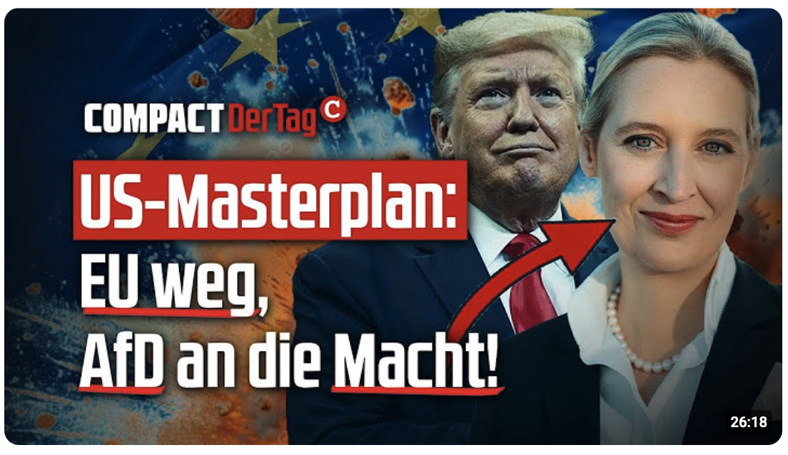 US-Masterplan: EU weg, AfD an die Macht!