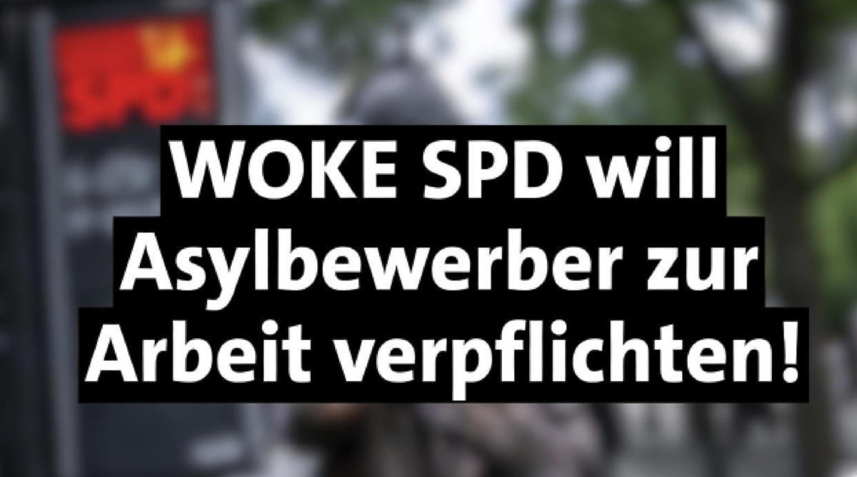 Hammer-Entscheidung in Salzgitter! SPD will Asylbewerber zur Arbeit verpflichten