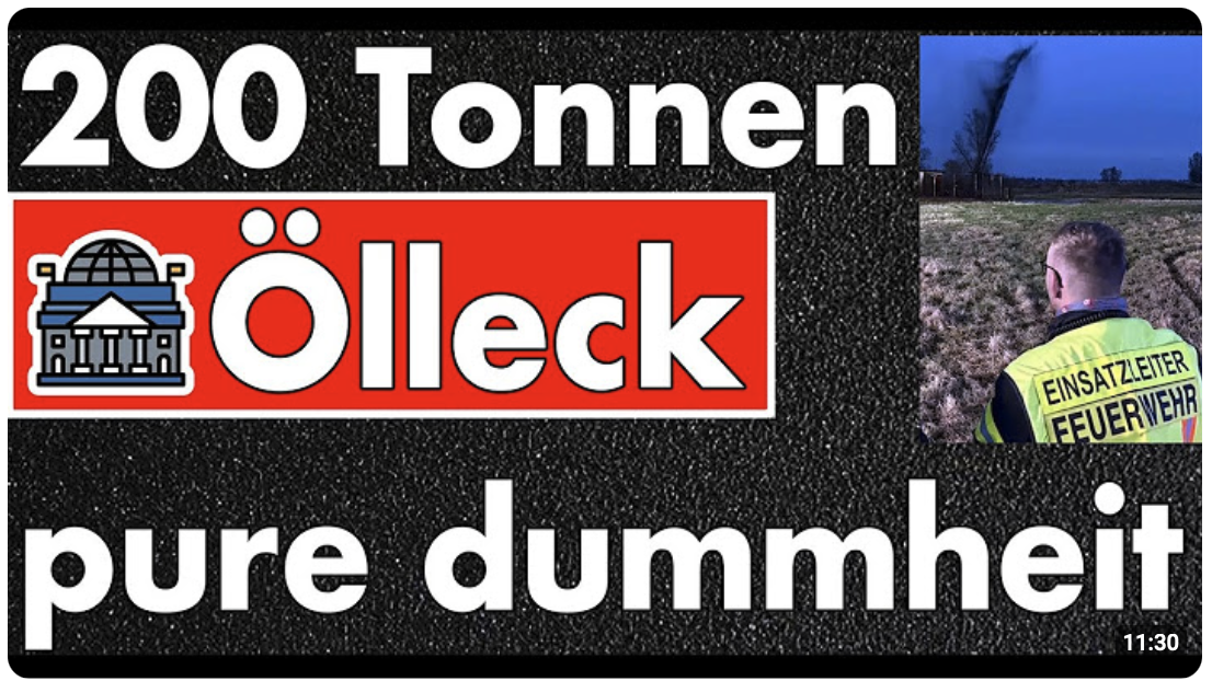 Weder Putin noch Drohnen erreichen diese Effizienz: 200-Tonnen-Ölkatastrophe für Sicherheitsprüfung