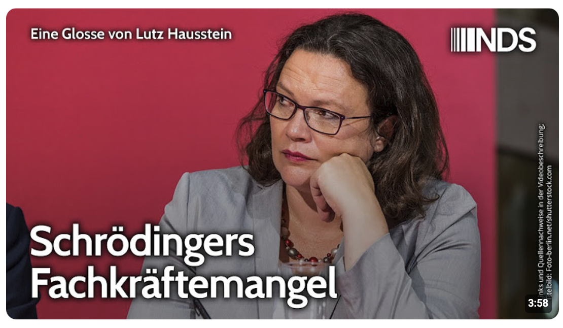 Schrödingers Fachkräftemangel | Lutz Hausstein | NDS-Podcast