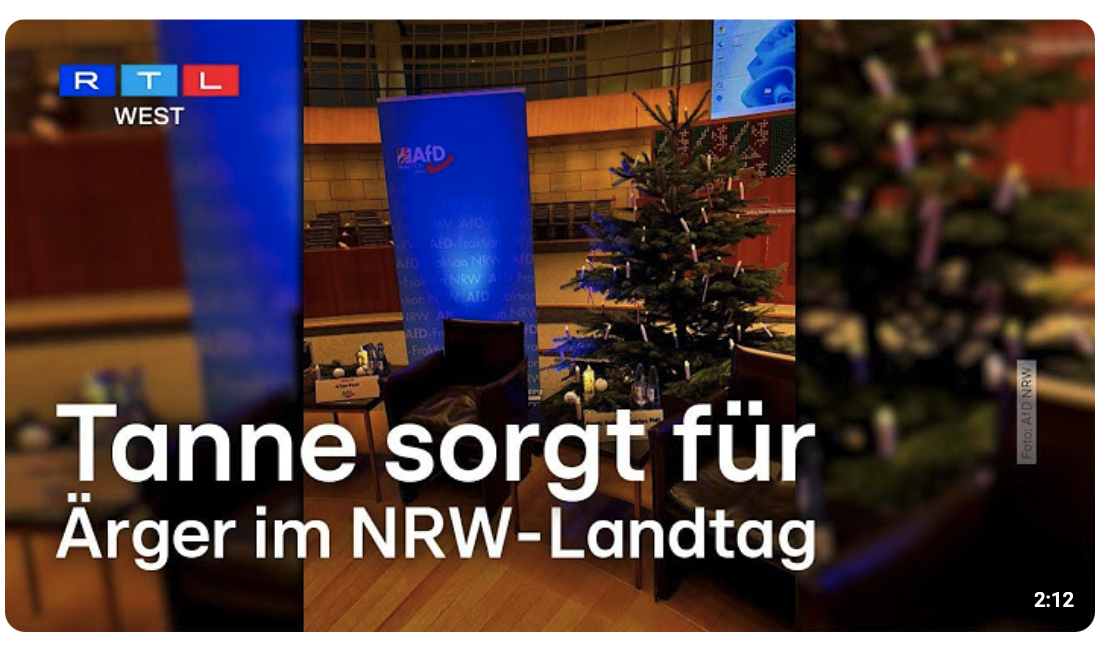 Wirbel um Weihnachtsbaum: Tanne sorgt für Ärger im NRW-Landtag – AfD ist verärgert |